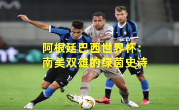 阿根廷巴西世界杯：南美双雄的绿茵史诗