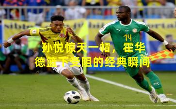 孙悦惊天一帽，霍华德篮下受阻的经典瞬间